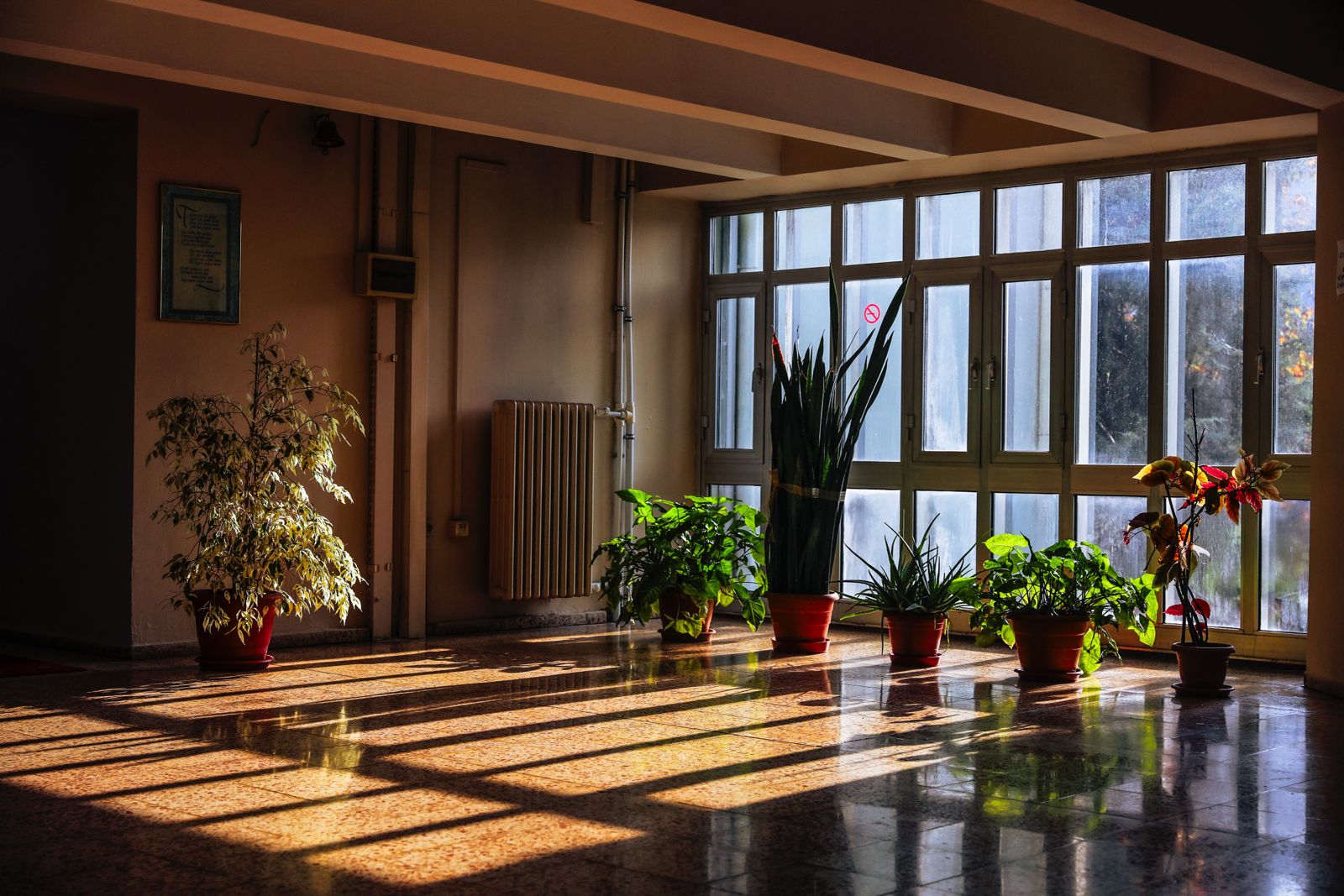 DEÜ'DEN YEŞİL BAŞARI: KARBON AYAK İZİ EN DÜŞÜK ÜNİVERSİTE